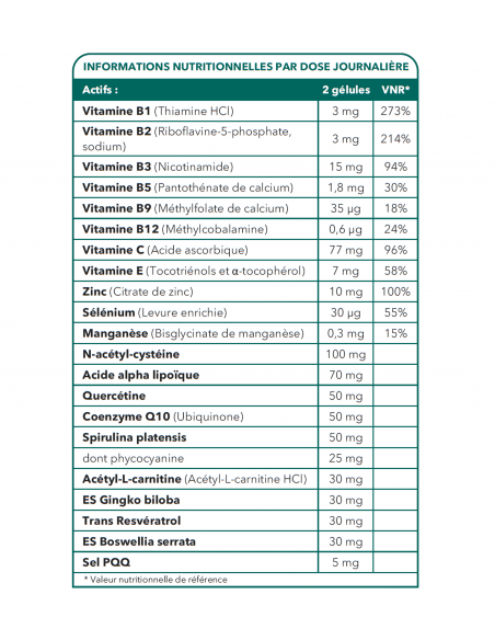 ATP NAT 60 Kapseln - Nahrungsergänzungsmittel Antioxidans der Mitochondrien - Bionops
