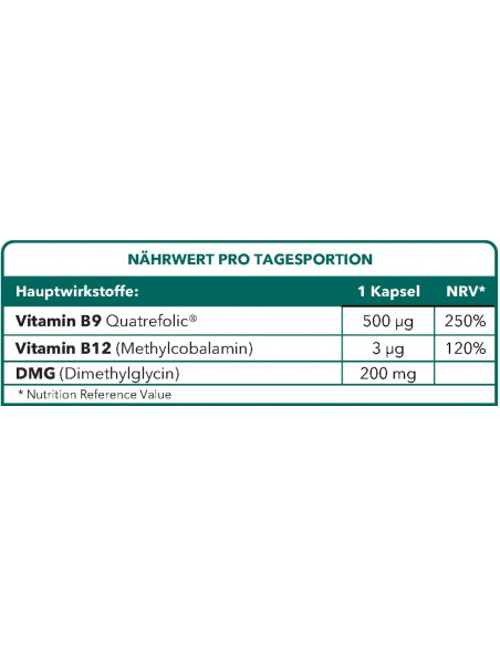 Bionops Methylnat - Vitamines B9 + DMG