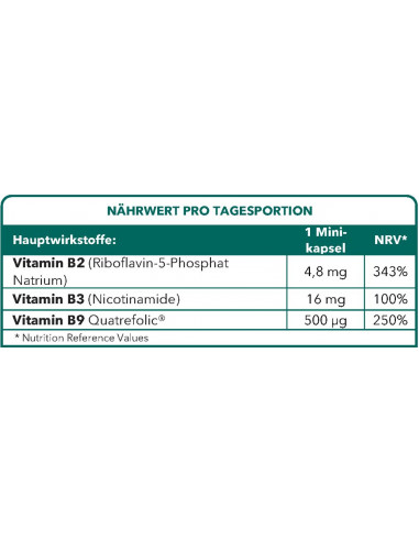Methyl B9 Complex - Vitamin B9-Mangel - Aufrechterhaltung der roten Blutkörperchen