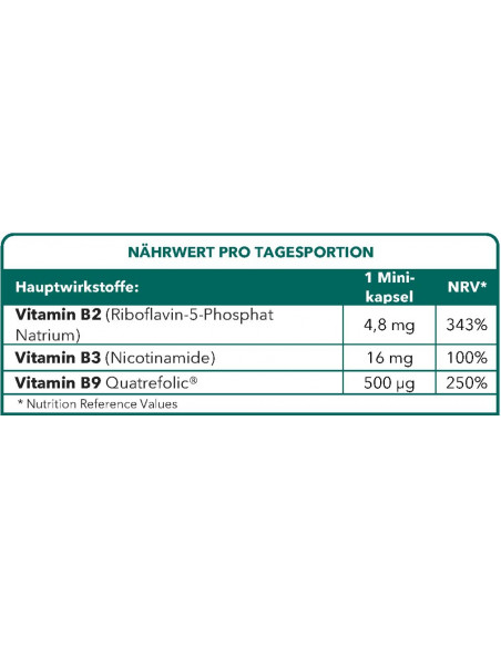 Methyl B9 Complex - Vitamin B9-Mangel - Aufrechterhaltung der roten Blutkörperchen